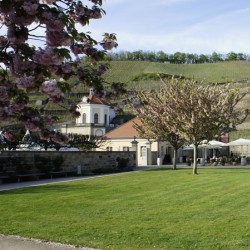 Radebeul Schloss Wackerbarth